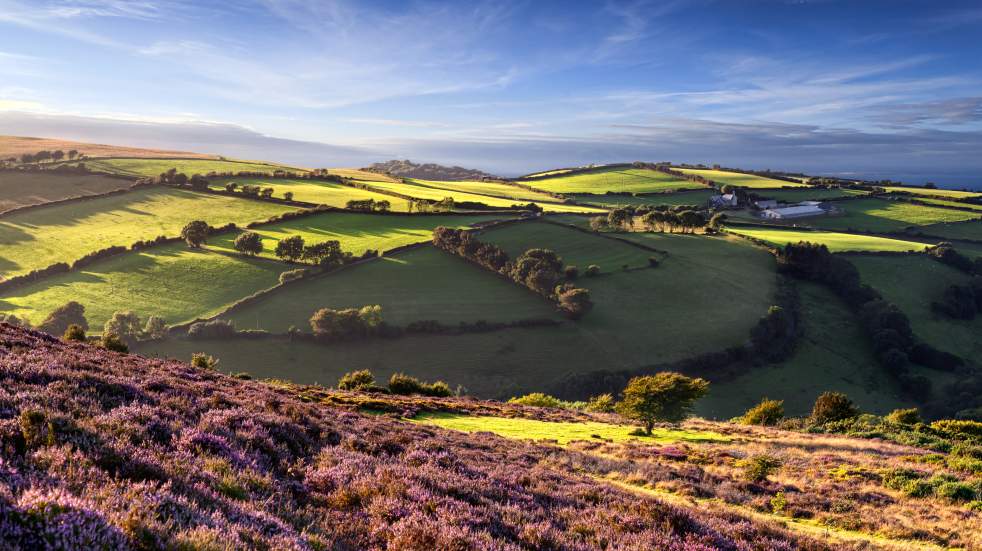 somerset countryside